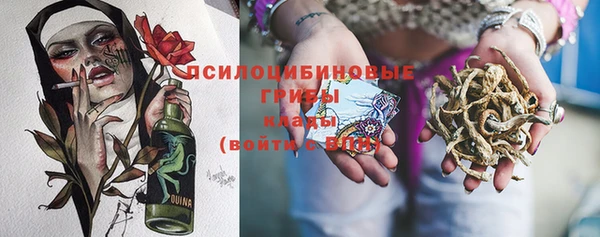 дмт Кукмор