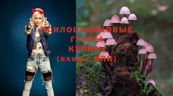 дмт Кукмор