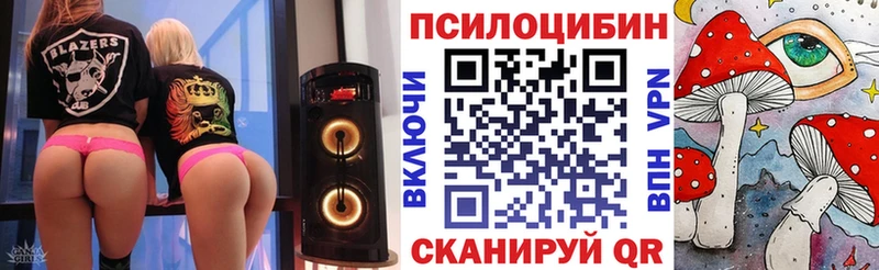 Купить  Лермонтов  Псилоцибиновые грибы мицелий 